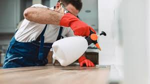 Best Real Estate Pest Inspections  in USA